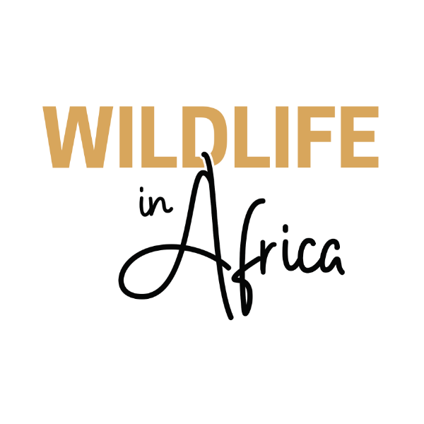 client logo_wildlife in africa