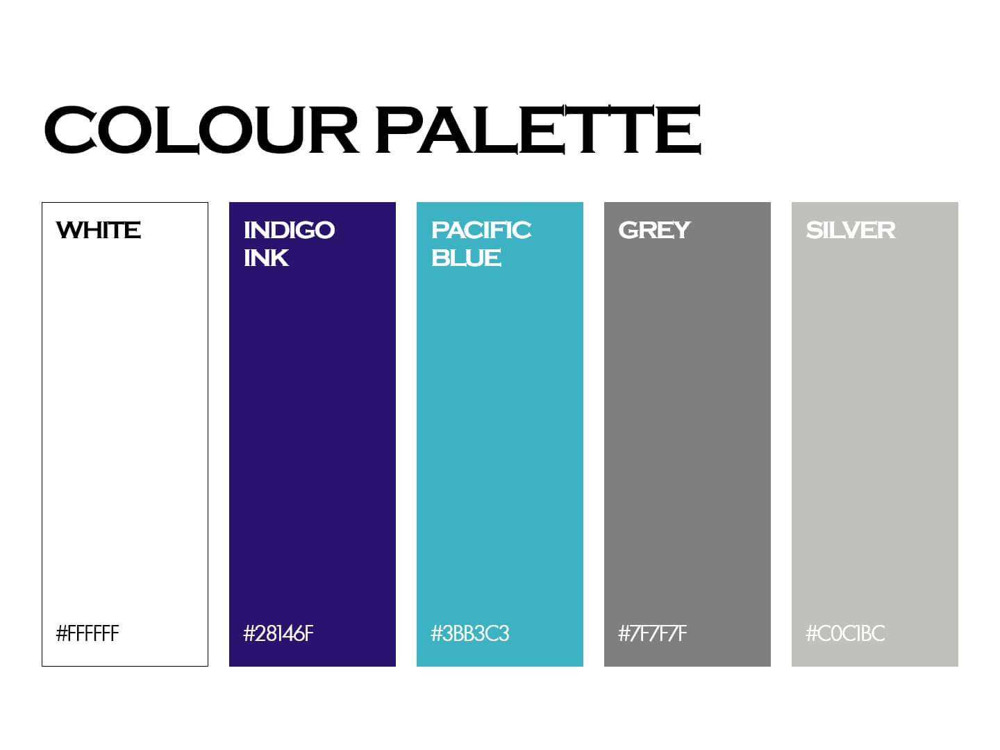 IVS_Brand Guideline_page 2