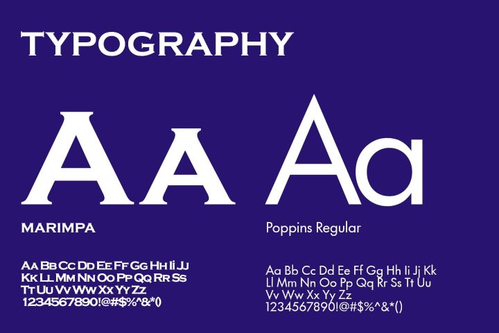 IVS_Brand Guideline_page 3