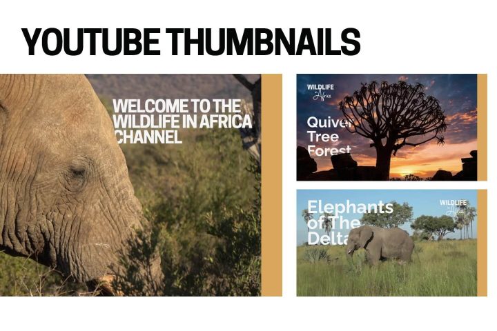 Wildlife in Africa_Brand Guideline_page 5
